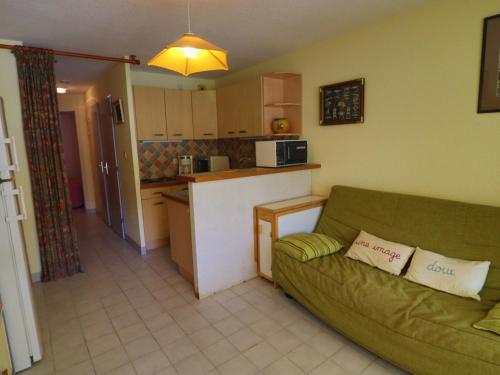 Spacieux T2 cabine, terrasse, animaux admis - FR-1-472A-161