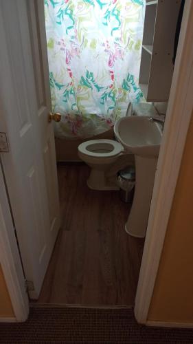 a bathroom with a toilet and a sink and a shower curtain at Cabanas y hostal tepual puerto montt in Puerto Montt