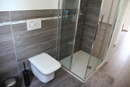 a bathroom with a shower and a toilet at Dimora Due Galli in Ponti Sul Mincio
