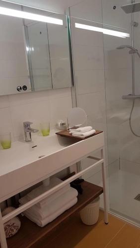 a bathroom with a sink and a shower with a mirror at Château de Mauvilly in Mauvilly