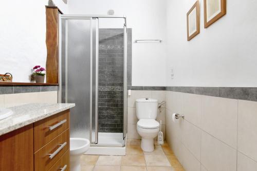 W łazience znajduje się toaleta i przeszklony prysznic. w obiekcie Casa Abuela Fela w mieście Vega de San Mateo