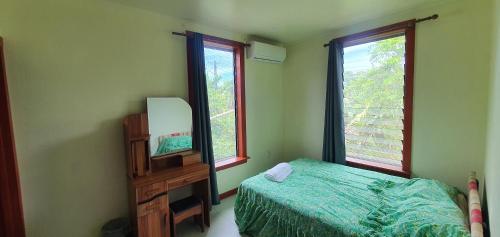 a bedroom with a bed and a mirror and two windows at Lynn's Getaway Apartments in Apia