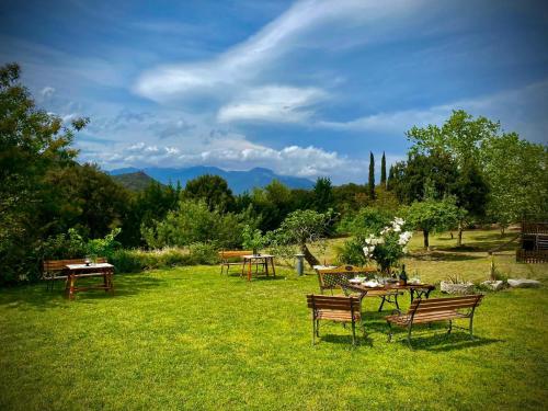 a group of tables and chairs in a grass field at Masia Mimosa Completa in Darnius