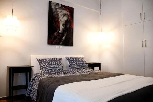 central Athens apartment near Kallimarmaro hosted by vasiliki