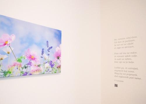 Fotografie z fotogalerie ubytování Apartma Libris v destinaci Koper