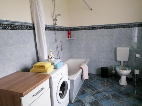 a bathroom with a washing machine and a toilet at Landtraum im Traumland Mecklenburg in Warin