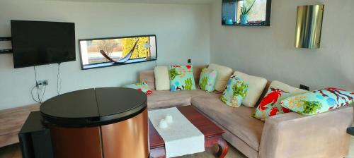 salon z kanapą i telewizorem z płaskim ekranem w obiekcie Moderne Vintage Ferienwohnung w mieście Bad Schussenried