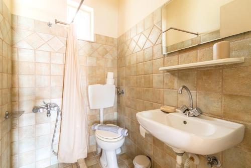a bathroom with a sink and a toilet and a shower at Crown apartments in Agia Pelagia