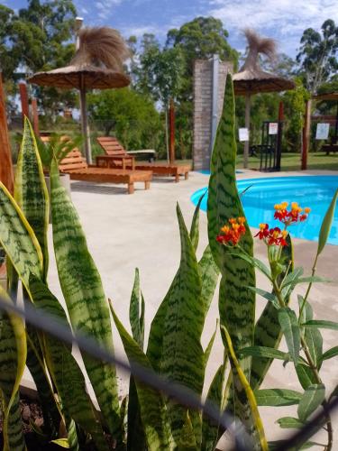 La Pinada – Photos 5