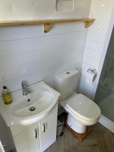 a white bathroom with a toilet and a sink at Bowhayes Farm - Camping & Glamping - Bell Tents - Cider Orchard in Venn Ottery