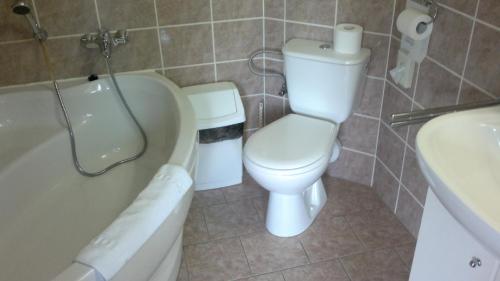 a bathroom with a toilet and a tub and a sink at Hotel Smaragd in Prague