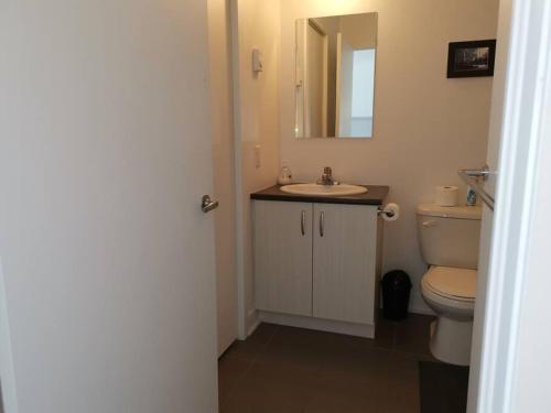 ein Badezimmer mit einem WC, einem Waschbecken und einem Spiegel in der Unterkunft Lovely studio in Longueuil, near Downtown Montreal in Longueuil