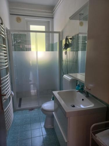 ein Bad mit einer Dusche, einem WC und einem Waschbecken in der Unterkunft Tripalme Izola in Izola