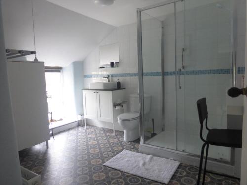 La salle de bains est pourvue de toilettes et d'une douche en verre. dans l'établissement Lyndale House, à Bradwell