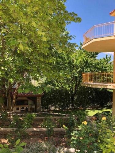 a house with a tree and a balcony in a yard at Ανάμεσα στα Έλατα in Ayía Varvára