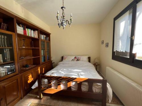 a bedroom with a bed and a chandelier at Ανάμεσα στα Έλατα in Ayía Varvára