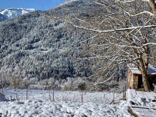 a snow covered field with a house and a tree at Ανάμεσα στα Έλατα in Ayía Varvára