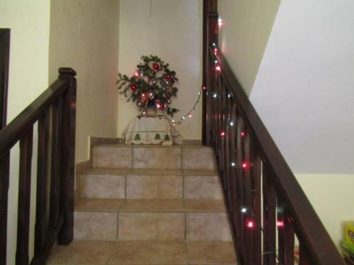 a stairway with a christmas tree and a staircase with lights at Ανάμεσα στα Έλατα in Ayía Varvára