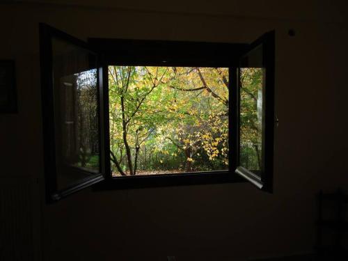 a window in a room with a view of a tree at Ανάμεσα στα Έλατα in Ayía Varvára