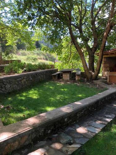 a park with a bench and a tree and grass at Ανάμεσα στα Έλατα in Ayía Varvára