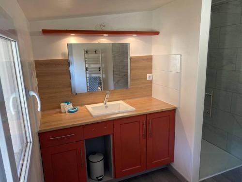 a bathroom with a sink and a mirror at Bienvenue à la Villa Plagnal Classée 3 étoiles in Aubière