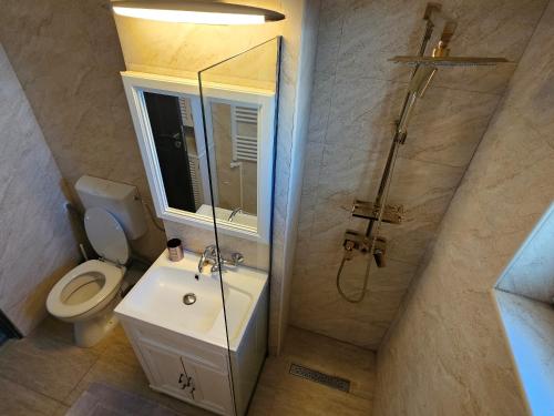 a bathroom with a toilet and a sink and a shower at La țărm in Mangalia
