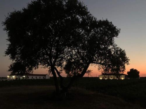 Φυσικό τοπίο κοντά σε αυτή η βίλα