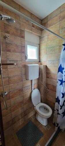 a small bathroom with a toilet and a shower at Apartment Perović in Nikšić