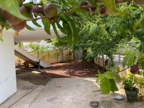 a garden with a staircase and some fruit trees at Homey Family ArtAki in Néa Artáki