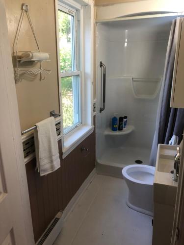 baño con ducha y aseo y ventana en Entire detached 3-bedrooms cute home in Cornwall area, en Cornwall