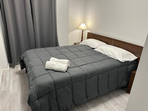 ログローニョにあるRincón de San Blasのベッドルーム1室(ベッド1台、グレーの毛布付)