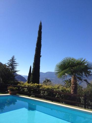 a swimming pool with a view of trees and mountains at Hotel Garni Hubertus in Tirolo