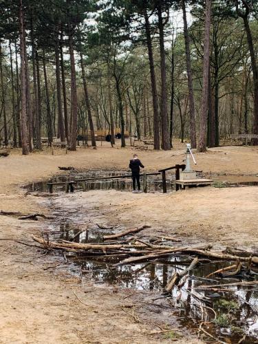 a person standing next to a pond in a forest at Tukken op de Maashorst in Schayk