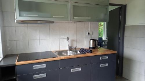 una cucina con un lavello e un piano di lavoro di Vechtdalhuisje 17 a Ommen
