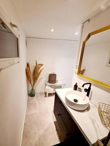 une salle de bain avec un lavabo et un miroir dans l'établissement Appartement cosy et calme en Hyper-centre, à Tarbes