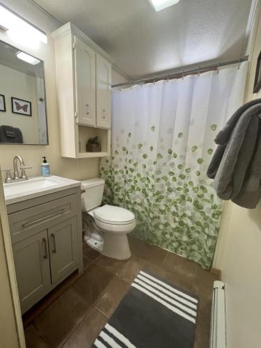 a bathroom with a toilet and a shower curtain at Northern Lights from Hot Tub, Denali National Park in McKinley Park