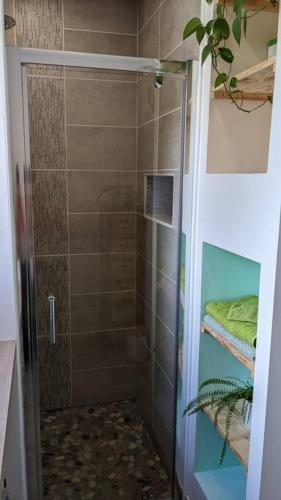 une douche avec une porte vitrée dans une salle de bain dans l'établissement Villa provençale et familiale, à La Bégude-de-Mazenc