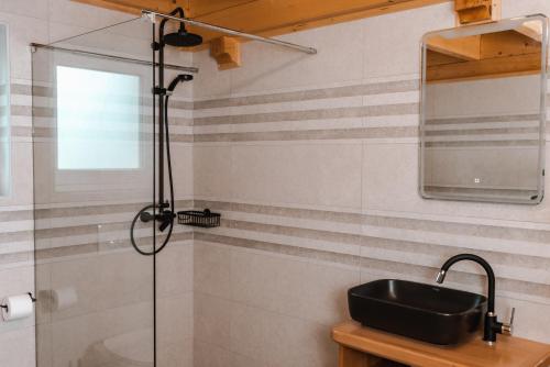 a bathroom with a sink and a shower at Apartmaji Gračner in Dramlje