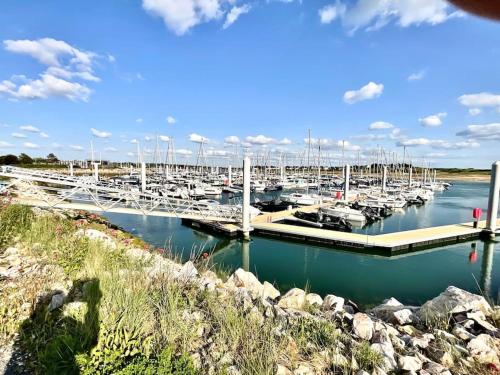 un grupo de barcos atracados en un puerto en Havre de paix à Carteret !, en Barneville-Carteret