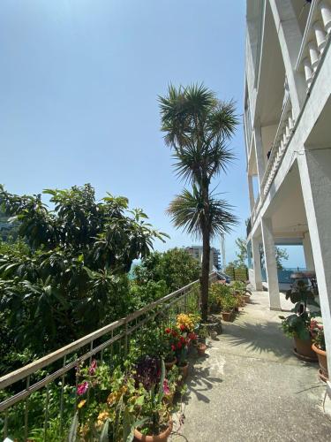 a walkway with flowers and a palm tree next to a building at Temo's guest house in Kvariati in Kvariati