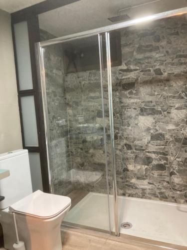 a bathroom with a shower with a toilet and a stone wall at Villa Palma in Marbella