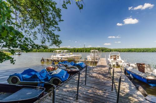 a group of boats are docked at a dock at Letnisko BAJKA in Iława