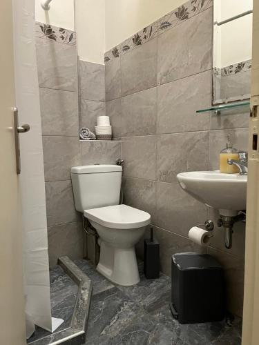 a bathroom with a toilet and a sink at Maro's Apartments in Argostoli