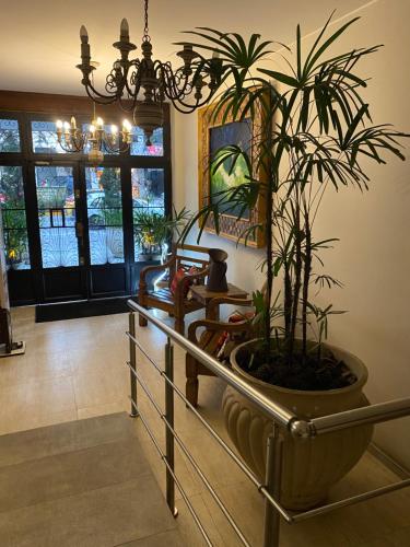 a living room with a potted plant in a pot at Hotel Fabris in Nova Friburgo