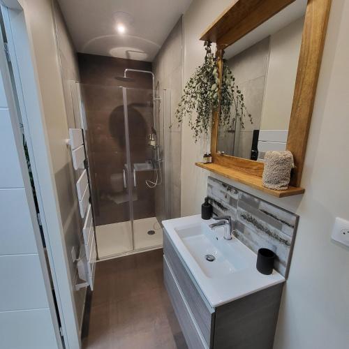 un baño con lavabo y ducha en Gite La Cabiotte Nature et Spa, en Sarcey