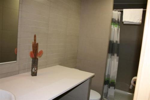 y baño con ducha y jarrón en la encimera. en Apartamentos Bejar, en Barcelona