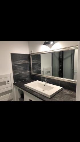 ein Badezimmer mit einem Waschbecken und einem großen Spiegel in der Unterkunft Le 30 in Canteleu