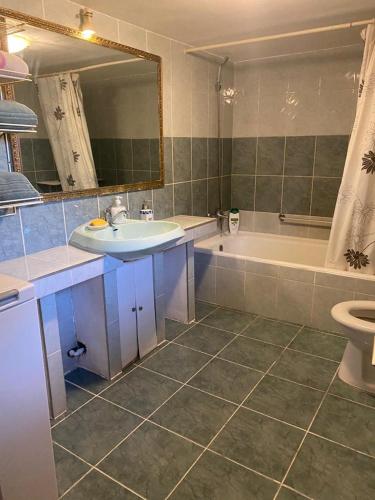 a bathroom with a sink and a tub and a toilet at Casa Ionela in Cluj-Napoca