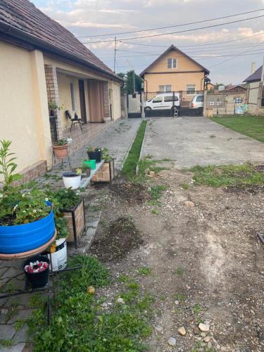 a driveway of a house with some plants in a yard at Casa Ionela in Cluj-Napoca