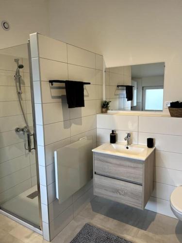 bagno con doccia, lavandino e servizi igienici di Appartement Duplex avec jardin a Ingersheim